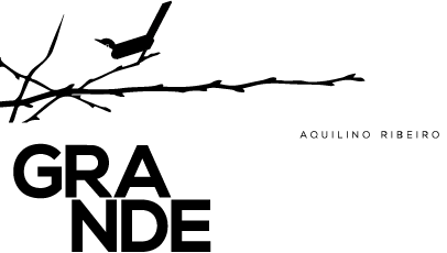 A Casa Grande de Romarigães - logotipo